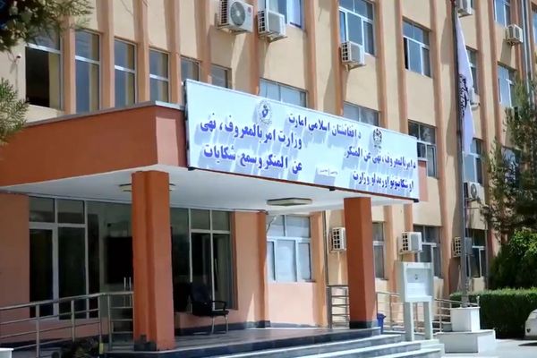 د طالبانو امربالمعروف وزارت: په کابل کې د کوډ ګرو یوه «خطر ناکه» ډله نیول شوې