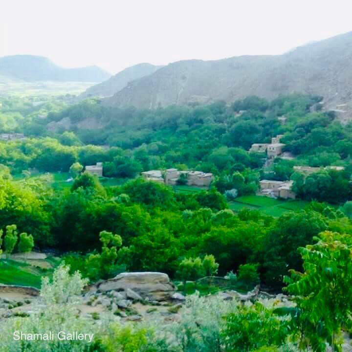 د ملګرو ملتونو استازو او طالبانو کابل ته د پنجشیر سیند د اوبو پر لېږد خبرې وکړې