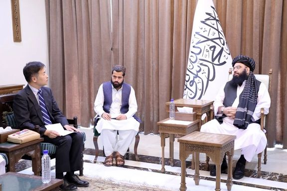 طالبان: جاپان ده میلیون دالر برای محو خشخاش در افغانستان کمک میکند