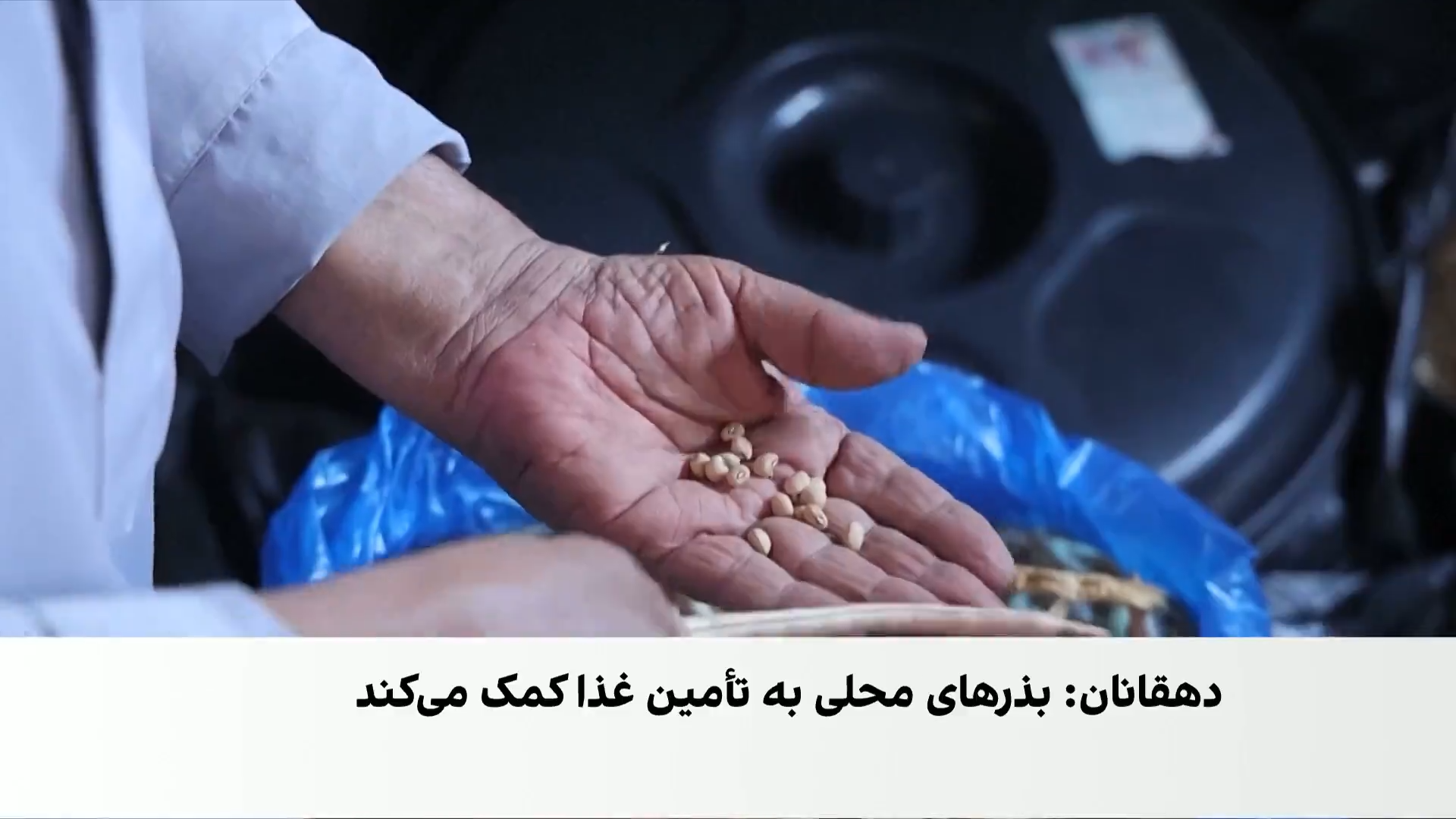 بذرهای بومی؛ امید دهقانان برای احیای زراعت غزه
