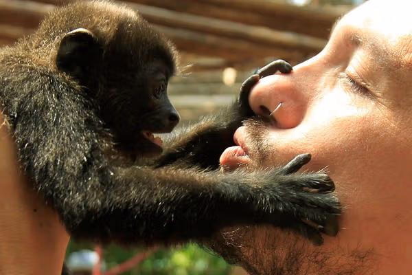 بوسه بر لب «پیشینه ۲۱ میلیون ساله دارد»