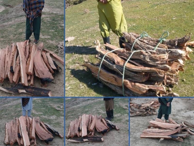 طالبان وایي په بادغیس کې یې پنځه تنه د ځنګلونو پرې کولو په تور نیولي دي