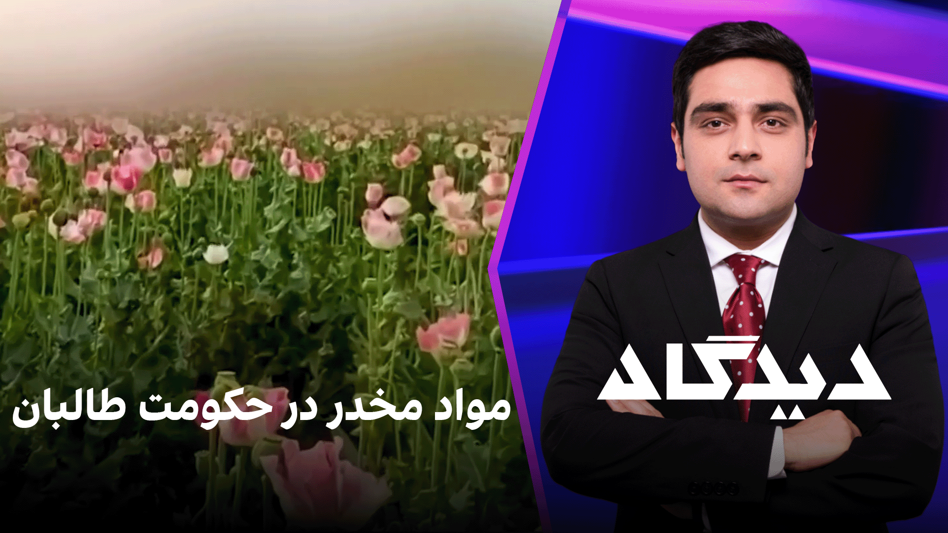 دیدگاه: مواد مخدر در حکومت طالبان