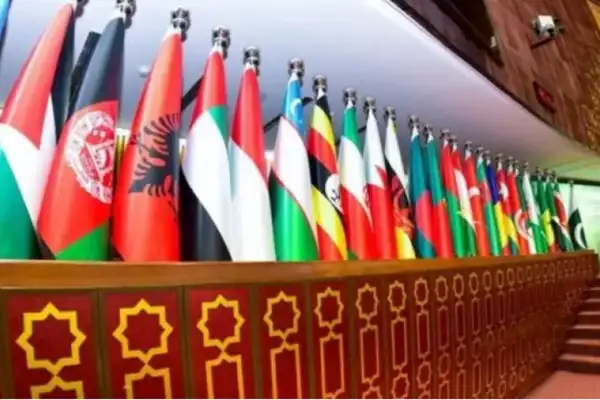 د افغانستان په اړه د اسلامي همکاریو سازمان د تماس ډله په نیویارک کې غونډه کوي