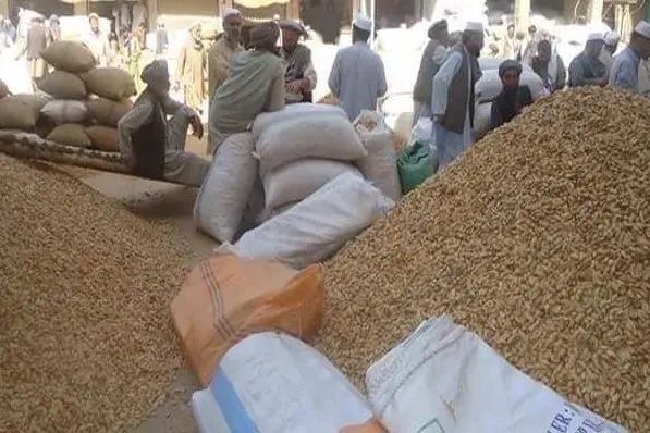 طالبان: تېر کال د ۶۴۳ میلیون ډالرو په ارزښت وچه او تازه مېوه صادره شوې 