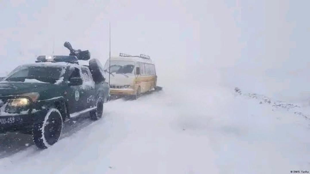 طالبان جان‌باختن مهاجران افغان در مرز ایران را تایید کرد