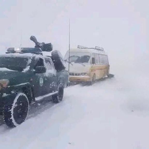 طالبان جانباختن مهاجران افغان در مرز ایران را تایید کرد