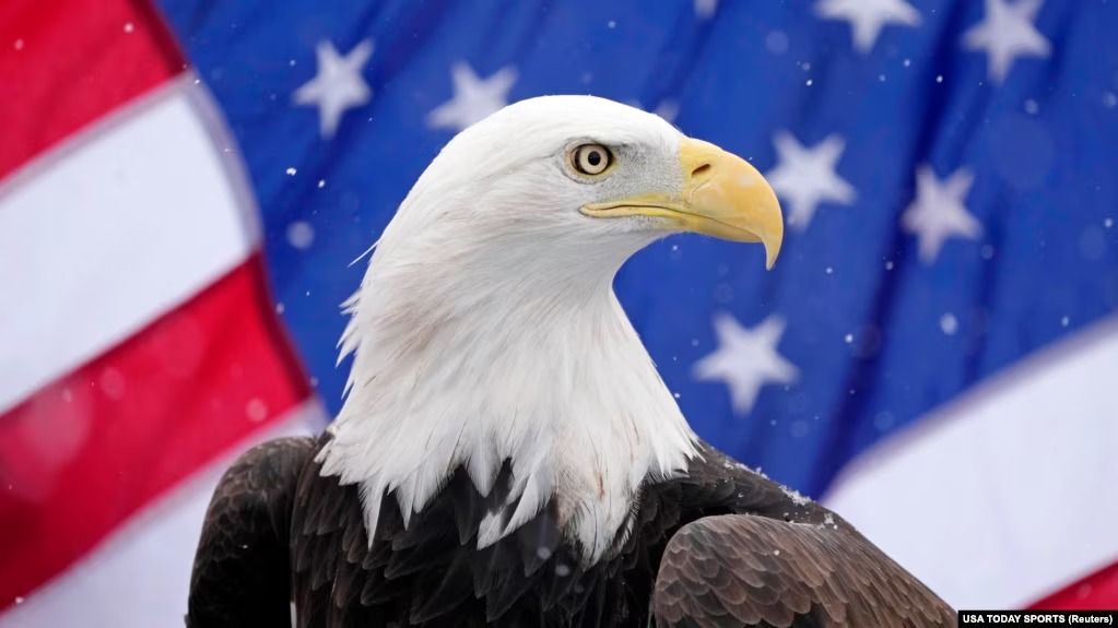 عقاب سرسفید به‌طور رسمی به‌عنوان پرنده ملی امریکا شناخته شد