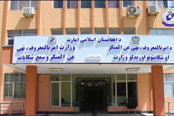 طالبانو په درېیو ولایتونو کې ۳ کوډګر نیولي دي
