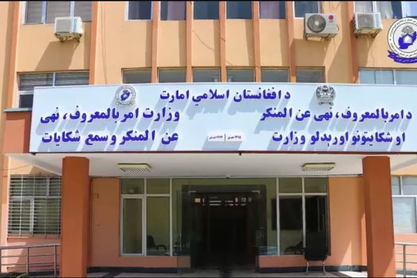 طالبانو په درېیو ولایتونو کې ۳ کوډګر نیولي دي