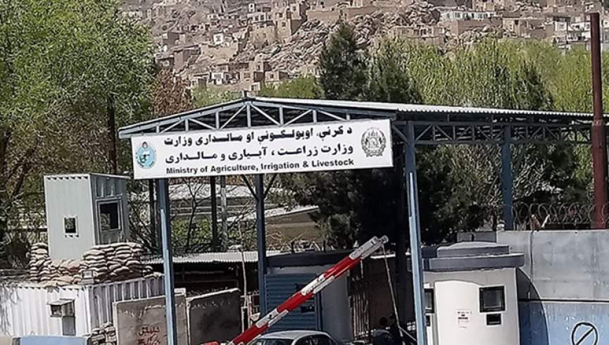 طالبانو تېره یوه اوونۍ ۱۱ ولایتونو کې د بېلابېلو کرنیزو فعالیتونو راپور ورکړی