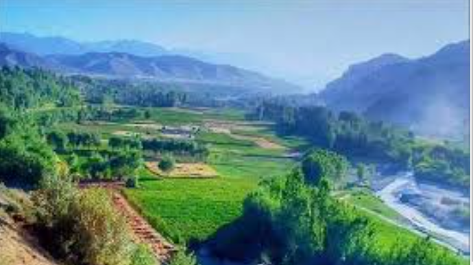 طالبان جنگجوی خود را که دختر جوان بامیانی را بر موتر نظامی سوار کرده بود، 'اخراج' کرده است