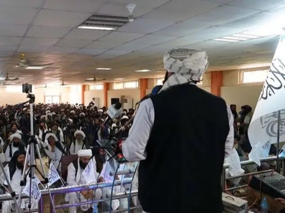 انس حقاني: د حقاني شبکې په نوم څه نه لرو