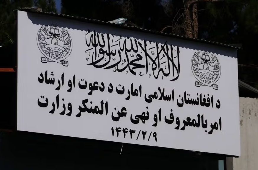 طالبانو په ۴ ولایتونو کې ۶ کوډګر نیولي دي
