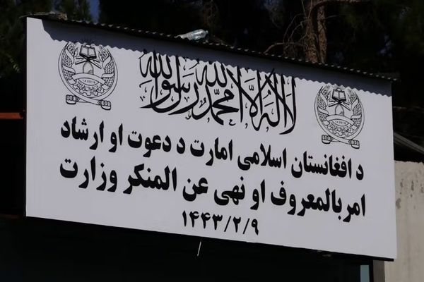 طالبانو په ۴ ولایتونو کې ۶ کوډګر نیولي دي