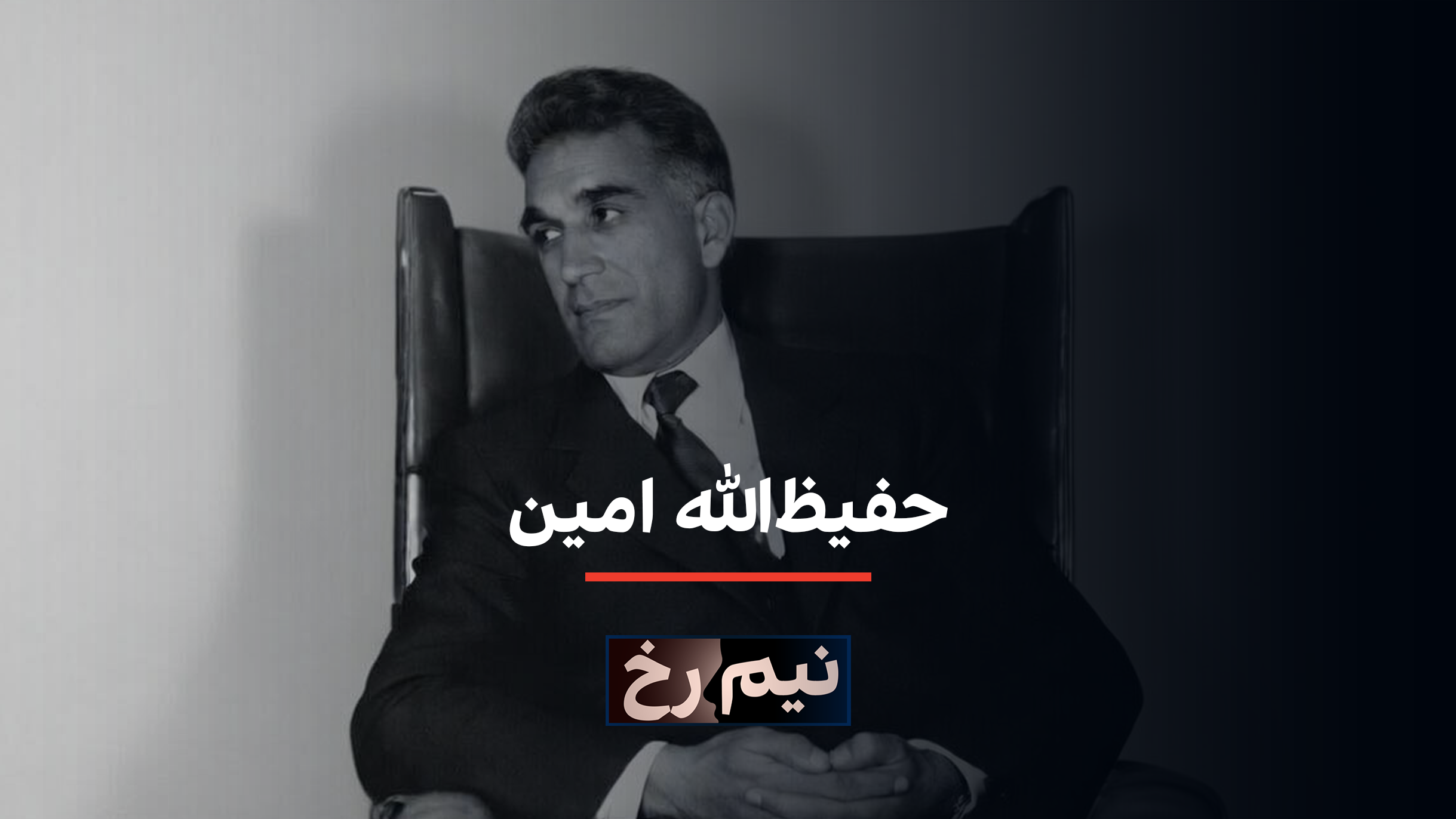 نیم‌رخ: حفیظ‌الله امین