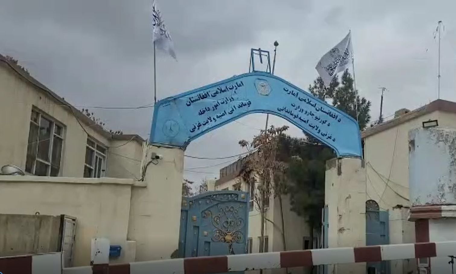 په تېرو ۵ میاشتو کې؛ غزني کې د ۲۳ ښځو په ګډون ۲۰۴ کسان د بېلابېلو جرمونو په تړاو نیول شوي