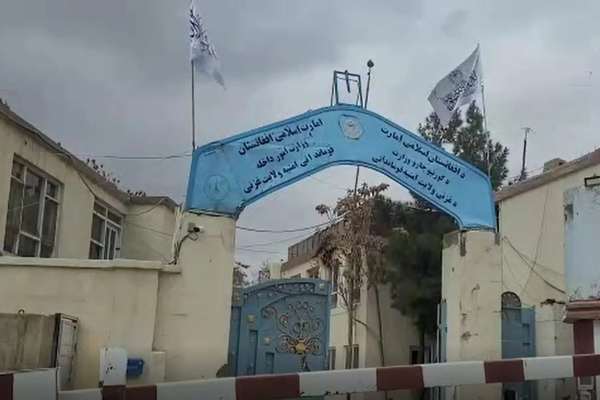 په تېرو ۵ میاشتو کې؛ غزني کې د ۲۳ ښځو په ګډون ۲۰۴ کسان د بېلابېلو جرمونو په تړاو نیول شوي