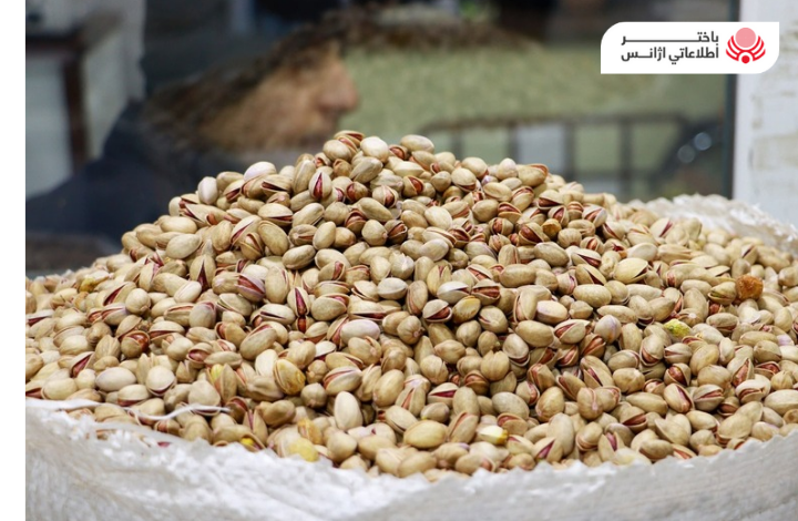 د هرات د سوداګرۍ خونې مسوولان وايي چې د پستې صادرات ۲۱ سلنه زیات شوي