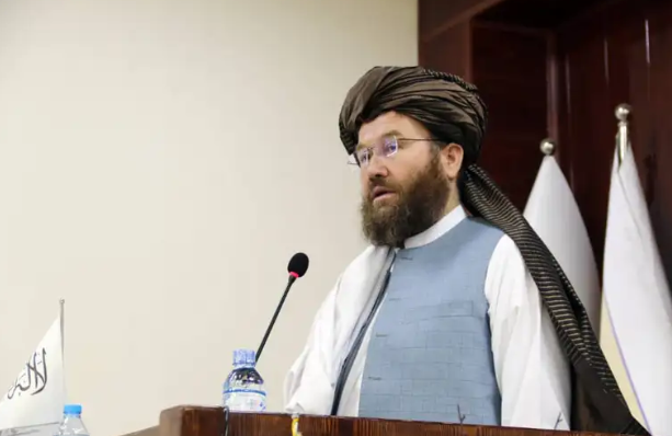 مولوي عطاالله عمري: په تېرو پنځو کلونو کې ۱۱۰ میلیونه نیالګي کېنول شوي