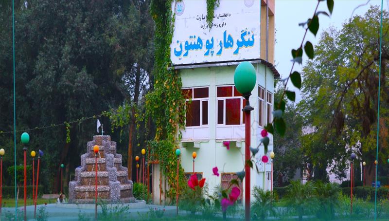 طالبان شش استاد را از دانشگاه‌های ننگرهار، لغمان و کنر برکنار کرد