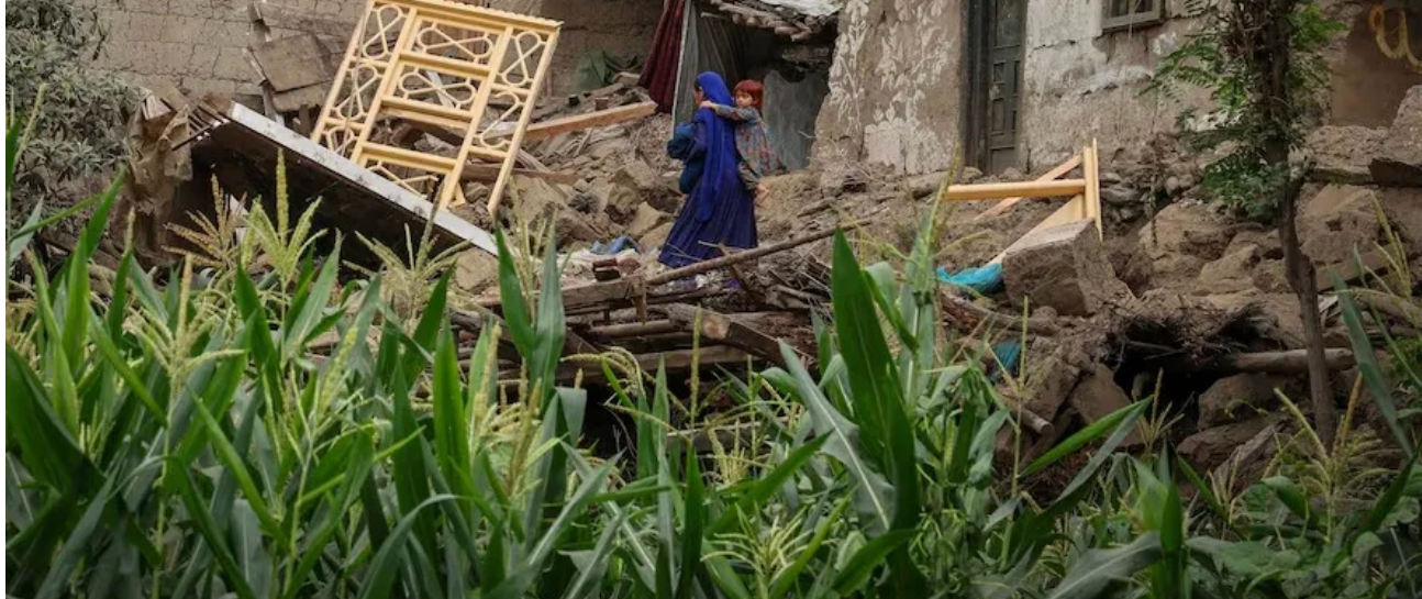 WHO Urges Taliban To End Restrictions On Female Aid Workers After Deadly Quake