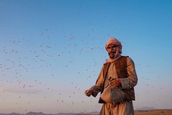 افغانستان د نړۍ په هغو ۹ هېوادونو کې راغلی چې تر ټولو ډېر خلک پکې له لوږې سره مخ دي