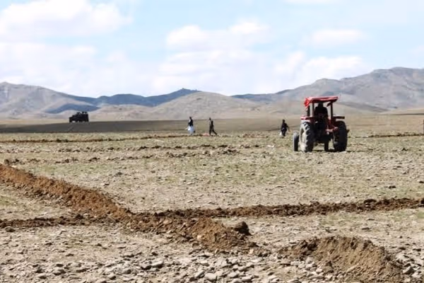طالبان وایي په ننګرهار کې یې پر څه باندې ۵۰۰ کډوالو کورنیو استوګنیزې نمرې ویشلي