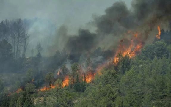د فرانسې سوېل کې د پراخې ځنګلي اورلګېدنې له امله یو کس مړ شوی او ۹ نور ټپیان دي