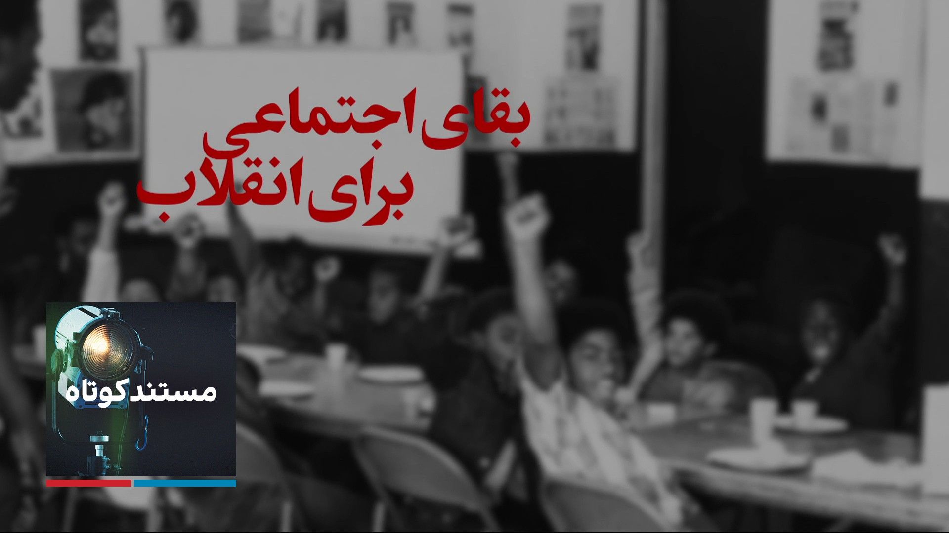 بقای اجتماعی برای انقلاب