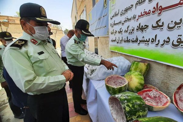 ایران براثر کاهش کشت خشخاش در افغانستان، کشت یا واردات مواد مخدر را بررسی میکند