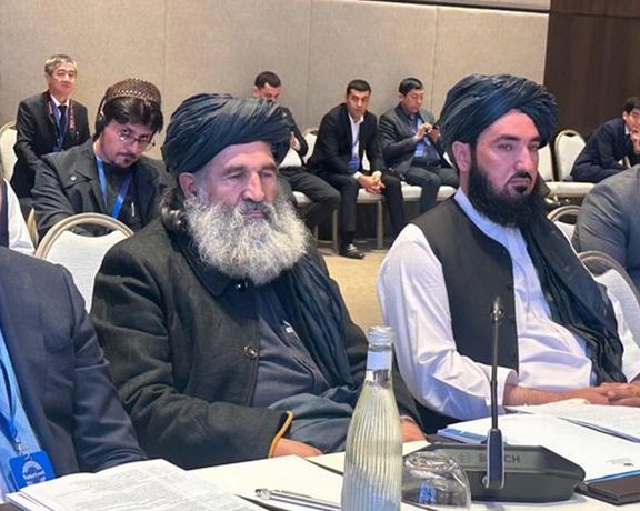 طالب چارواکی: په افغانستان کې د نشه یي توکو کښت، قاچاق او کرکیله نېږدې صفر شوې