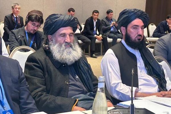 طالب چارواکی: په افغانستان کې د نشه یي توکو کښت، قاچاق او کرکیله نېږدې صفر شوې