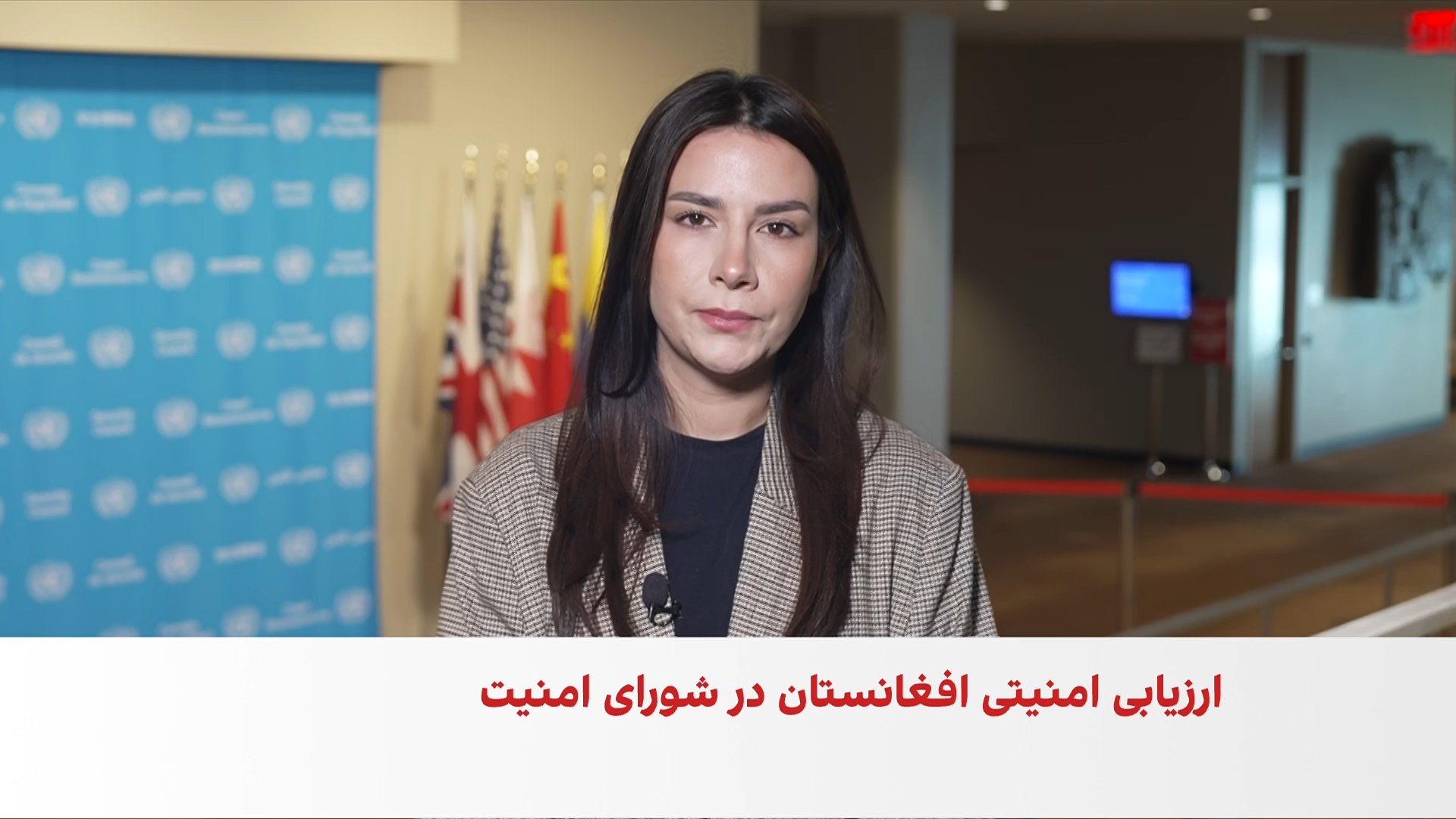  ارزیابی وضعیت امنیتی افغانستان در شورای امنیت