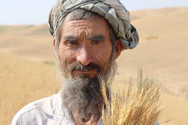 سازمان ملل: خشکسالی در افغانستان محصولات کشاورزی را نابود کرده است