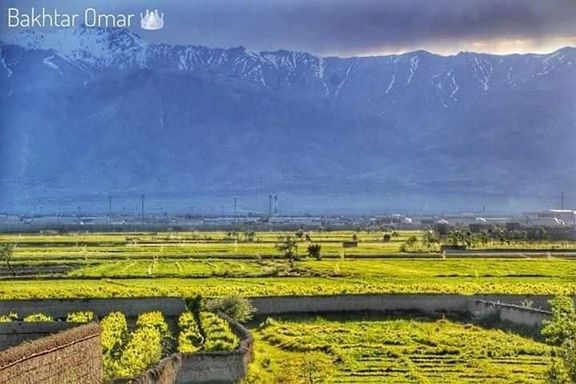 د ملي مقاومت جبهه وایي چې په پروان ولایت کې یې دوه طالبان وژلي دي