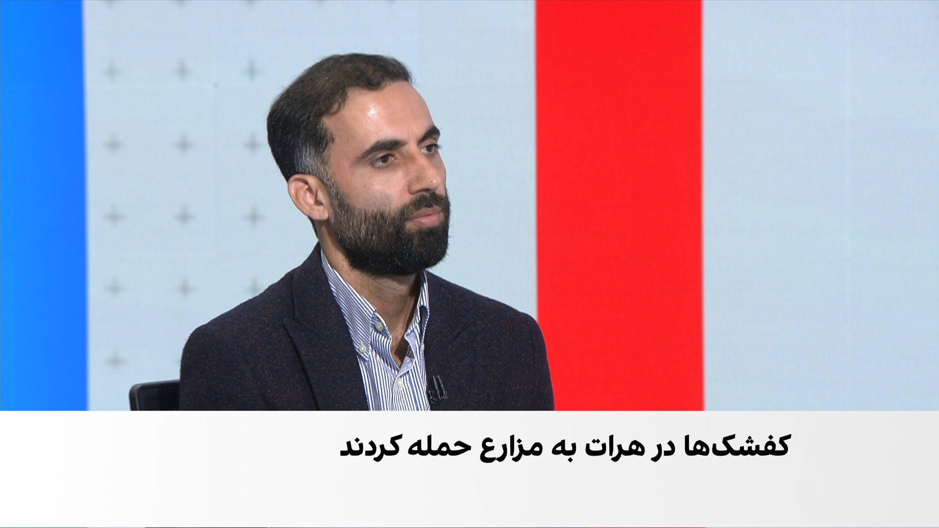 مرور پیام‌های مخاطبان؛ هجوم آفات به مزارع کشاورزان در پروان و هرات