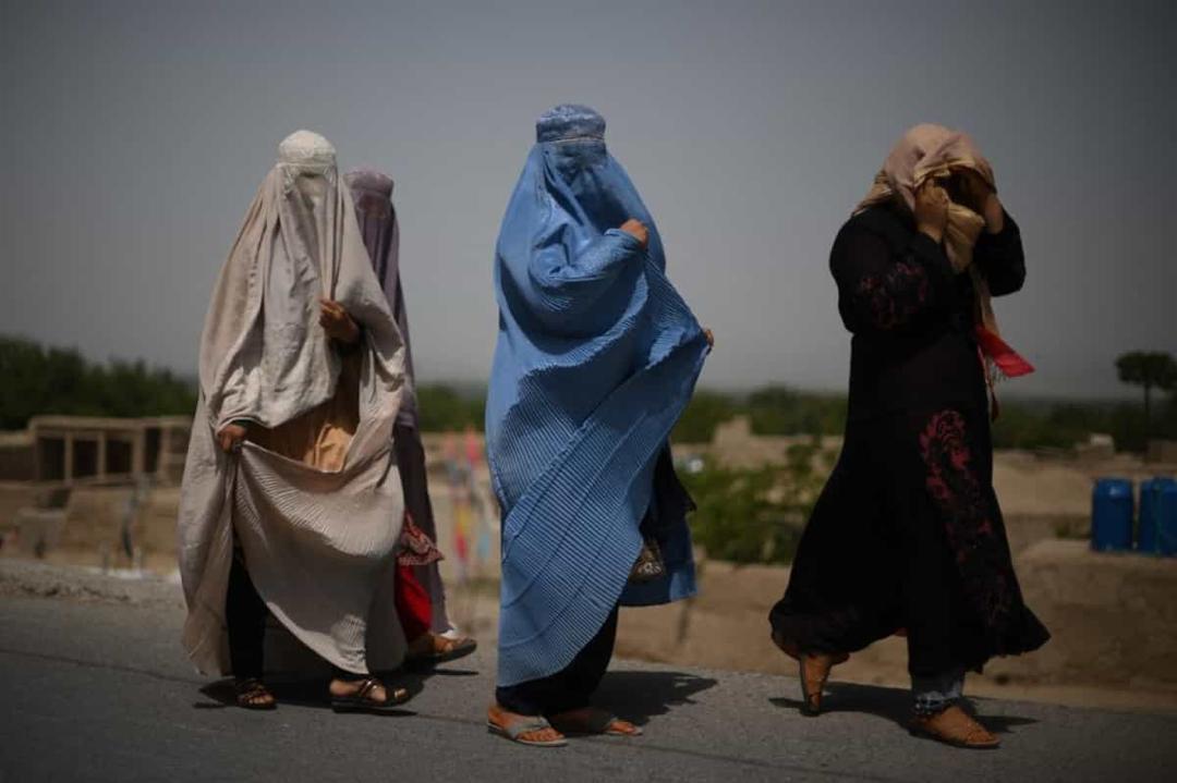 مدني بنسټونو د طالبانو د ځواب ویلو لپاره د عملي ګامونو غوښتنه کړې ده