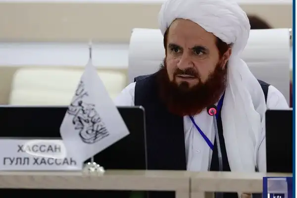 د طالبانو سفیر: د افغان سوداګرو لپاره د روسیې ویزو ته د لاسرسي پر اسانتیا کار کوو