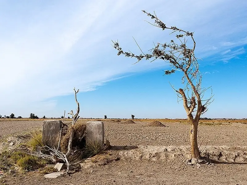 مقام ایرانی: گردوغبار ناشی از خشکیدن تالاب هامون ولایت‌های غربی افغانستان را فرا گرفته است