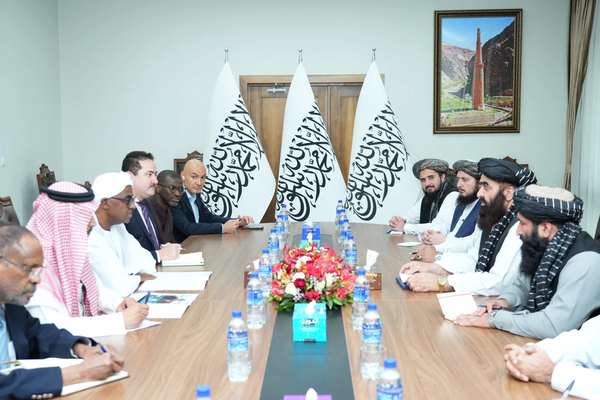 وزیر خارجه طالبان و معاون سازمان همکاری اسلامی درباره افغانستان گفتوگو کردند