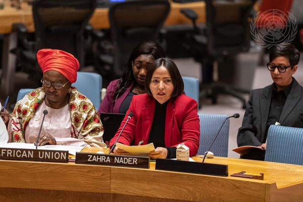 زهرا نادر در شورای امنیت سازمان ملل: هزارهها هدف حملات سیستماتیک قرار میگیرند