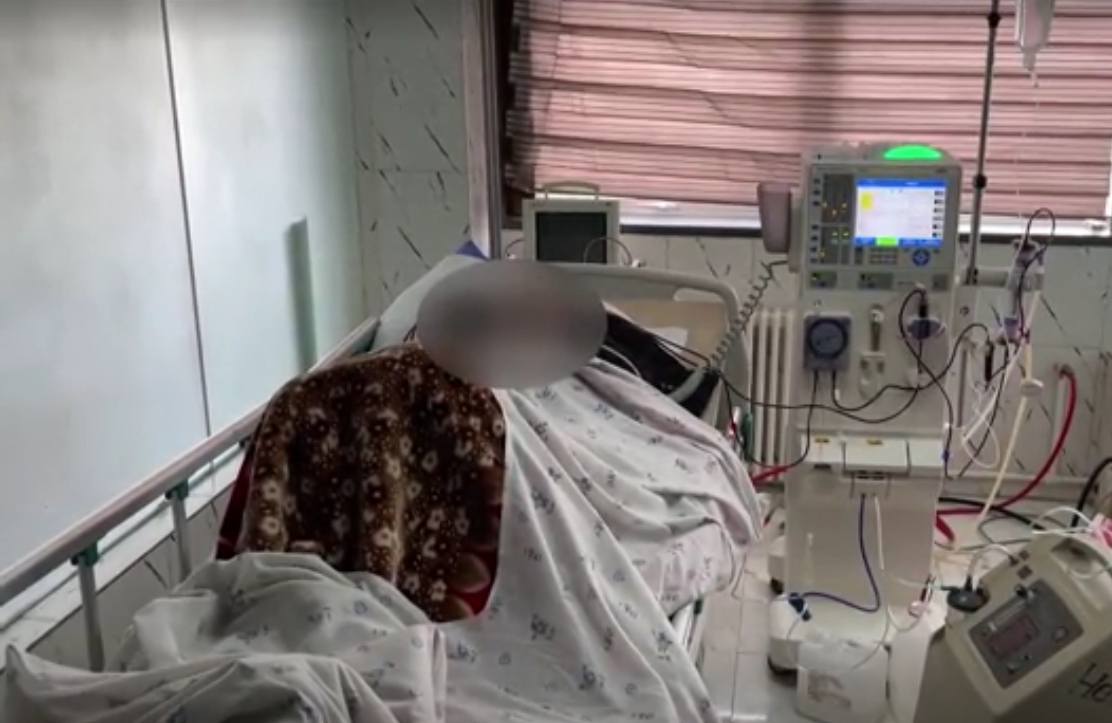 بحران انسانی در حکومت طالبان؛ گزارش خبرگزاری فرانسه از بازار پررونق فروش گرده در افغانستان