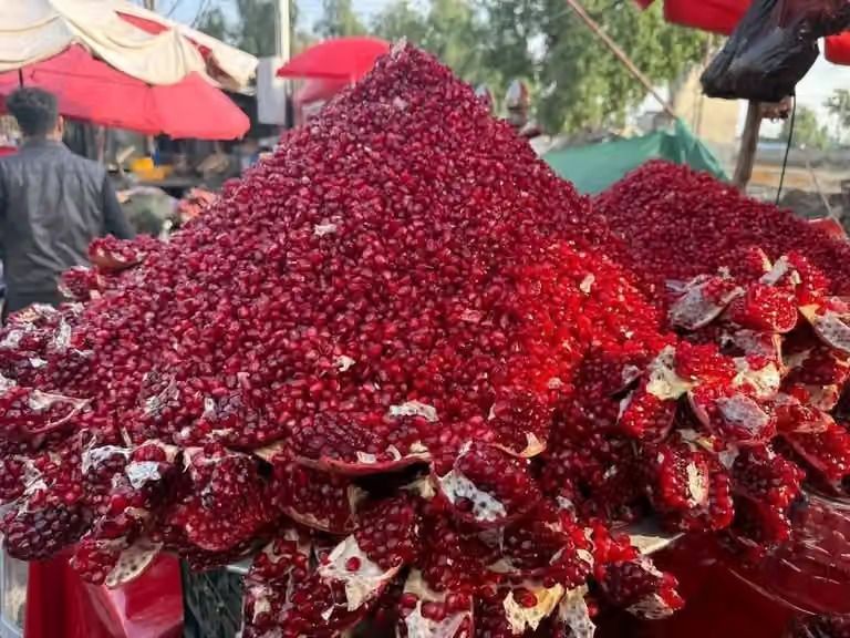 پیامد بسته‌شدن مرز پاکستان؛ بهای انار قندهار سقوط کرده و باغداران به قطع درختان می‌اندیشند