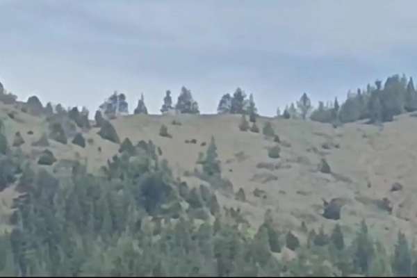 Clashes Between Taliban & Pakistani Forces Continue In Paktia Province