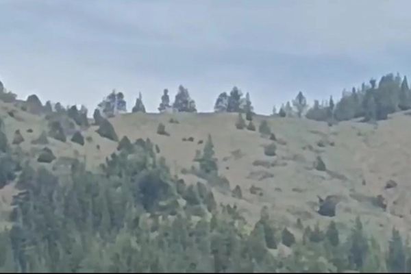 Clashes Between Taliban & Pakistani Forces Continue In Paktia Province