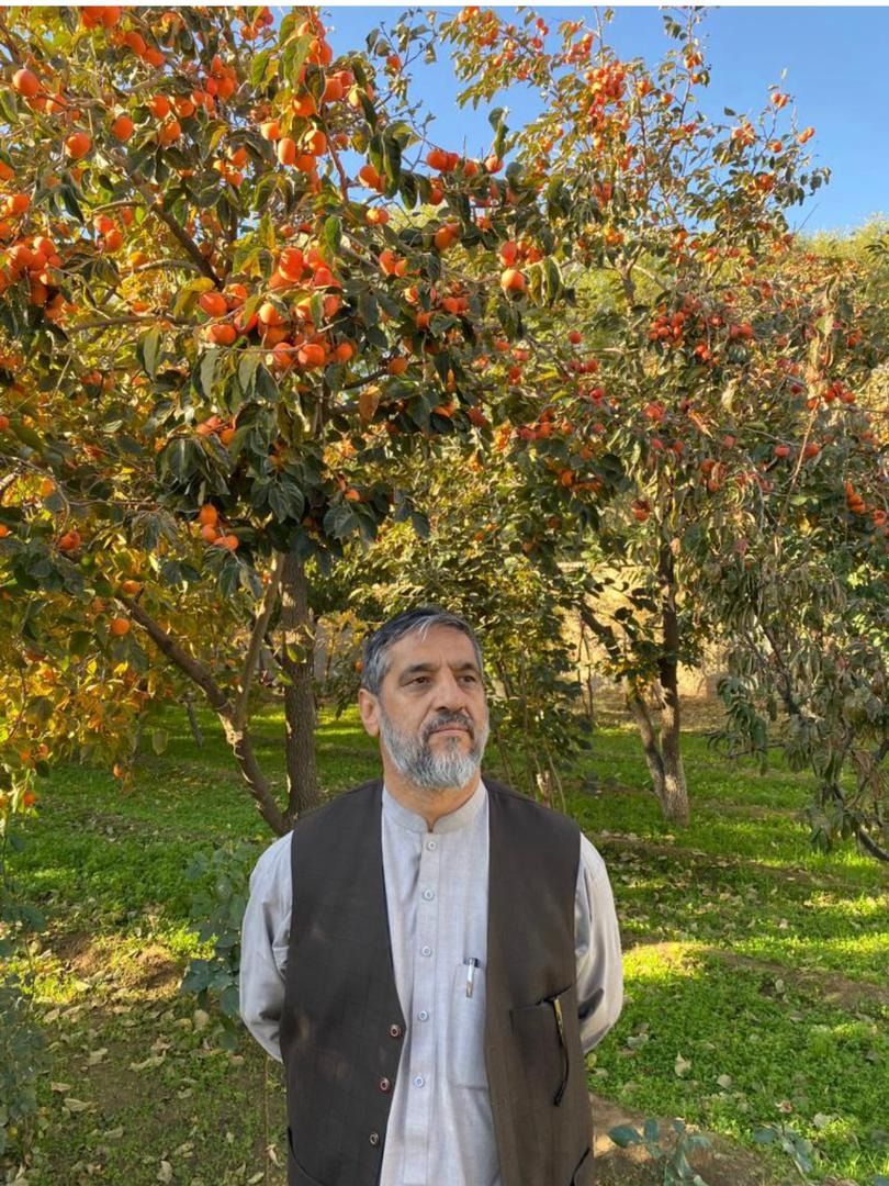 یک نهاد حقوق بشری: جاوید کوهستانی در بند طالبان به خانواده، وکیل و درمان دسترسی ندارد