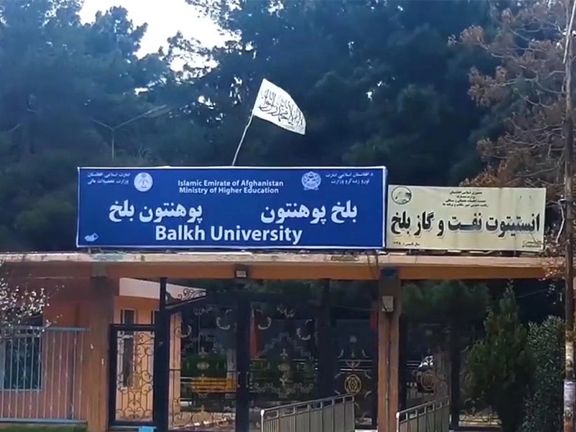 مسئول روابط خارجی جبهه مقاومت: "هر کسی که با فارسی دشمنی میورزد، از مذهب ابوحنیفه نیست"