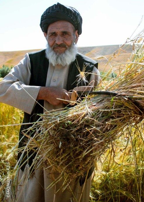 سازمان ملل: برای کمک به هشت میلیون افغان امسال به بیش از ۲۵۲ میلیون دالر نیاز داریم