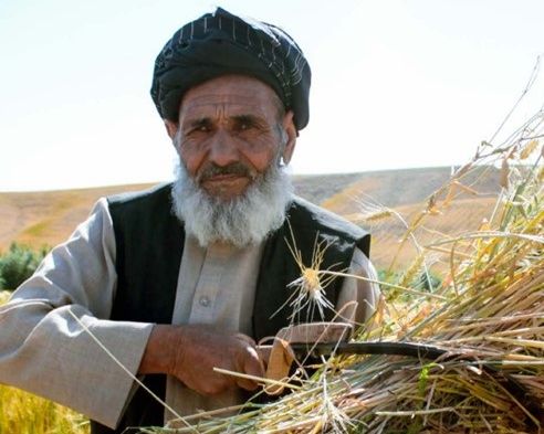 سازمان ملل: برای کمک به هشت میلیون افغان امسال به بیش از ۲۵۲ میلیون دالر نیاز داریم